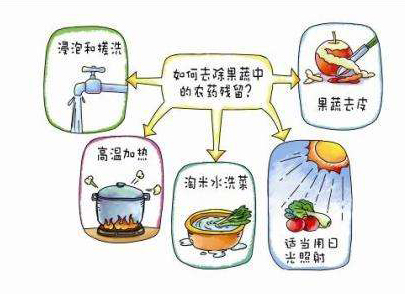 如何減少農(nóng)藥污染去除農(nóng)藥殘留？振華化工總結(jié)以下幾點分享給大家